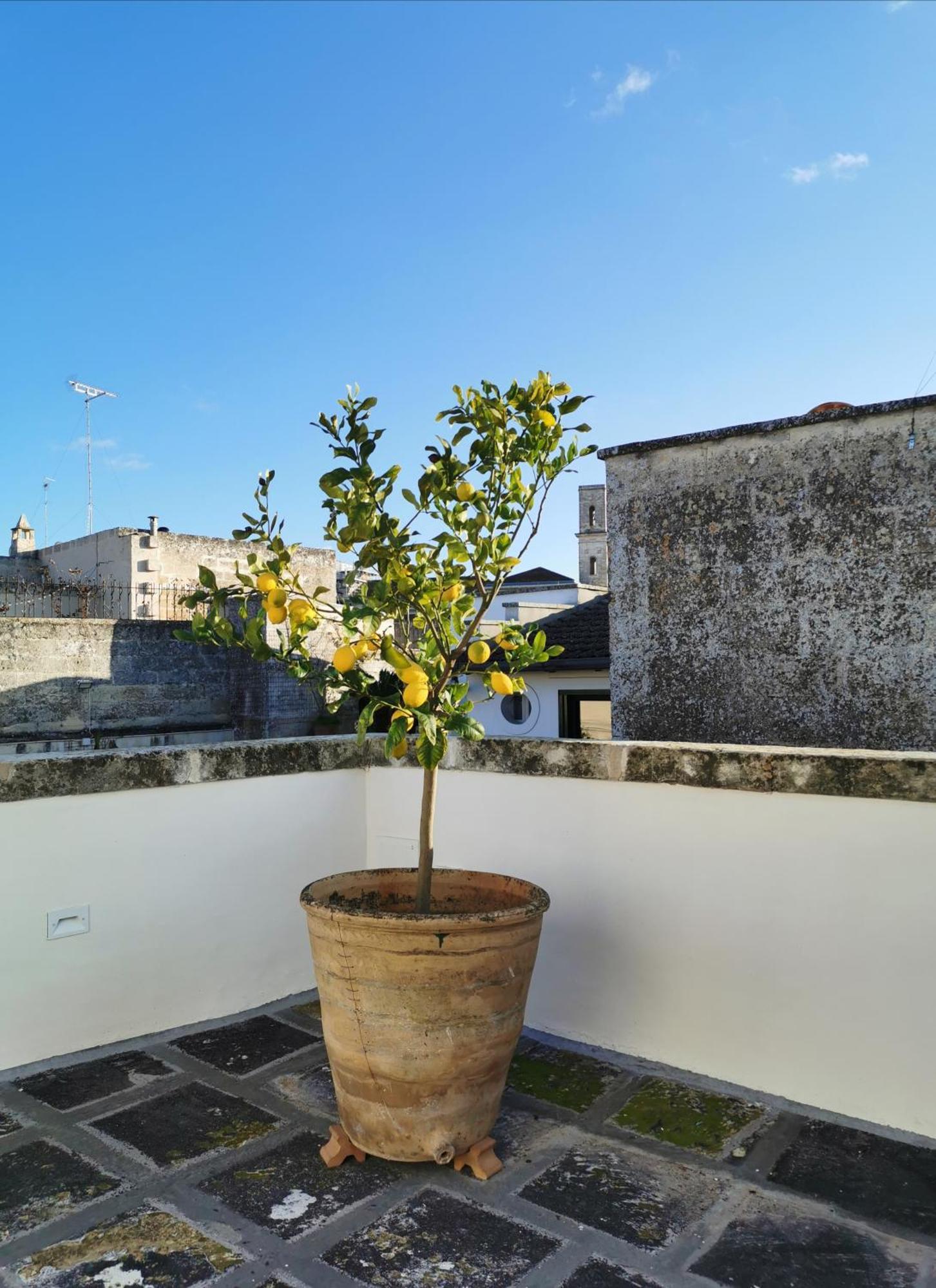 Coniger 4 Casa Vacanze In Centro Lecce Con Wi-Fi E Smart Tv Exterior photo